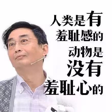 上海广播电台最新节目,上海电台上海话节目