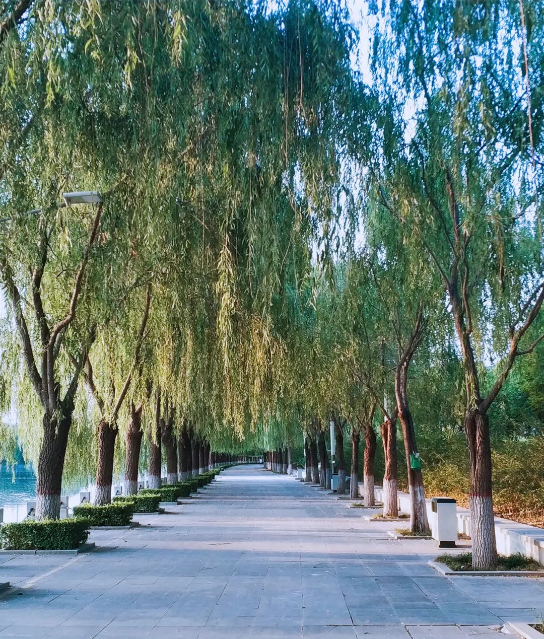 小说诸天万界无敌是多么寂寞,无敌是多么寂寞完整版一口气看完