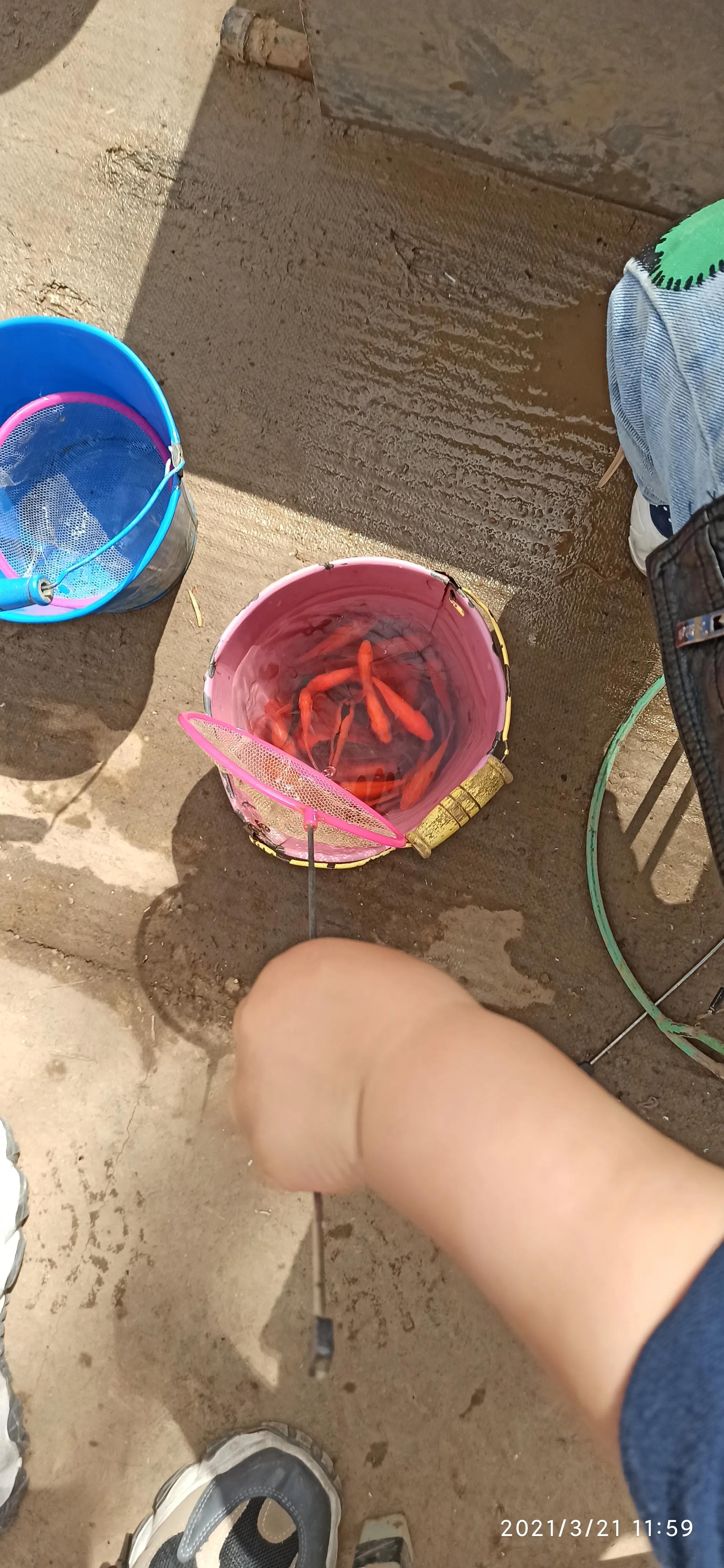 周山森林公园有啥玩的,周山森林公园游乐场招商