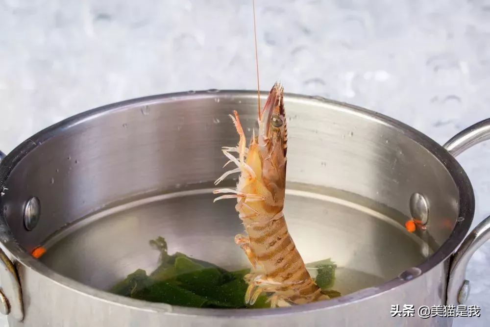 女孩子变瘦吃垃圾食品变胖,如何吃垃圾食品且营养到位