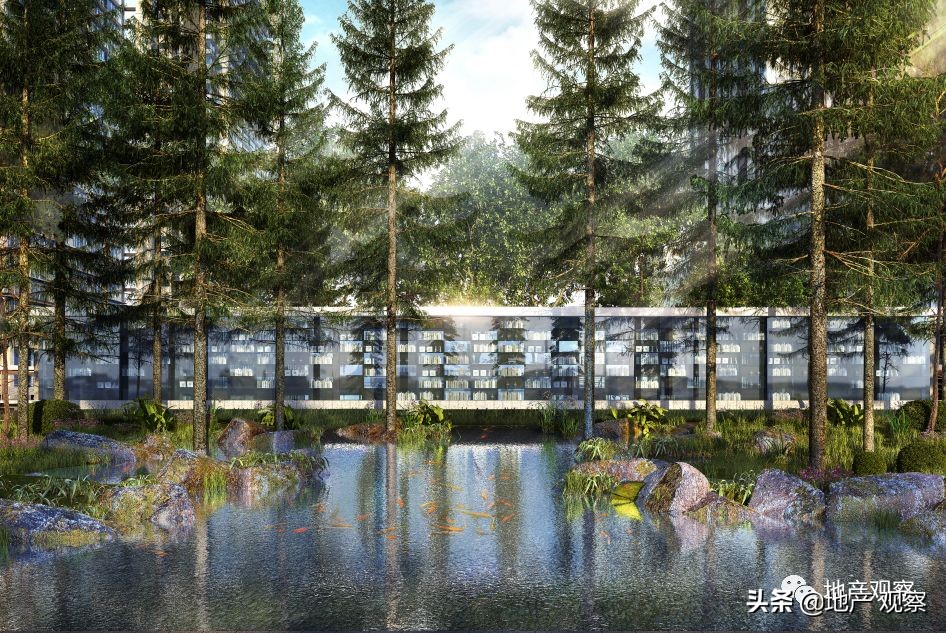 这个应该全国推广的品质项目