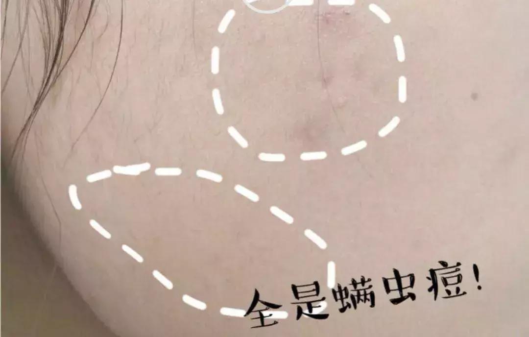 小红书推荐的平价身体乳,小红书点赞收藏破千