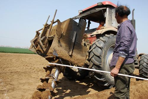 野生的山药好还是人工种植的好,山药种植新方法方便简单还高产