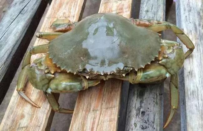 中国最美丽海岸线——广东省最美丽的岛屿：南澳