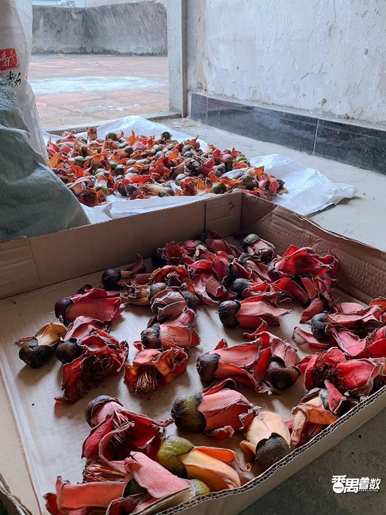 在广州番禺区居住怎么样,住在番禺的人的感受