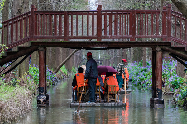 踏春赏花拍美景,踏春赏花逛湖