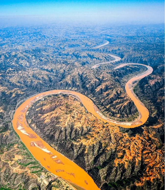 公众号每周热文（20201122）-这个韦爵爷，有点像猴