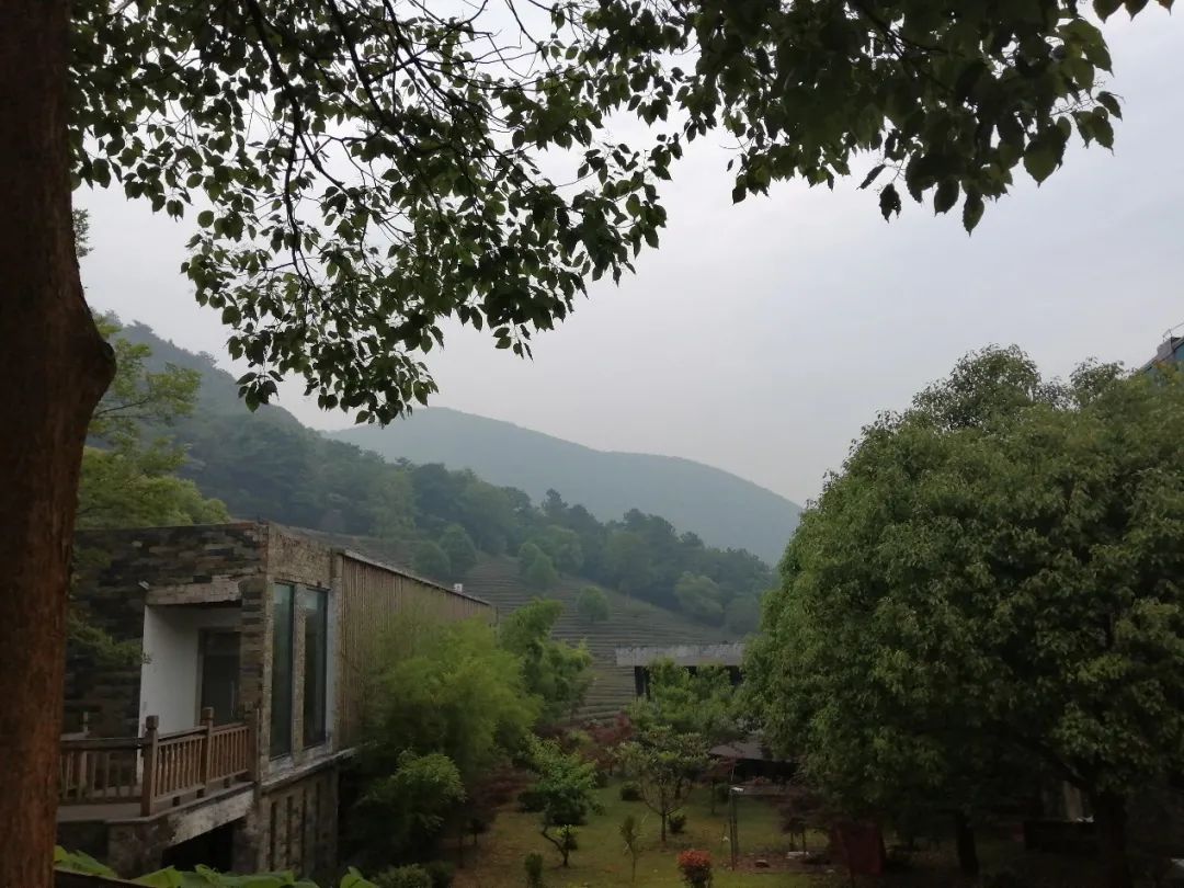 这种病毒传染性强需警惕,这次病毒为什么年轻人容易感染