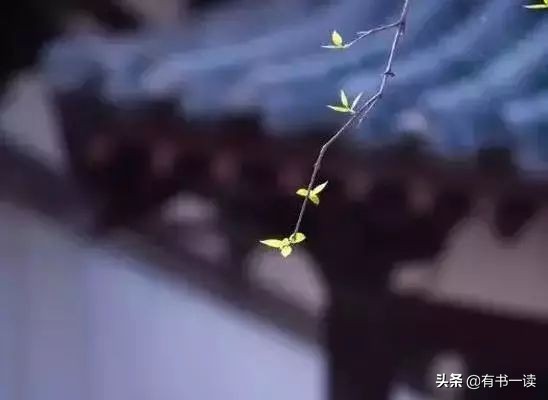 读懂南怀瑾先生经典的22句话,南怀瑾三句话说透了人生最高境界