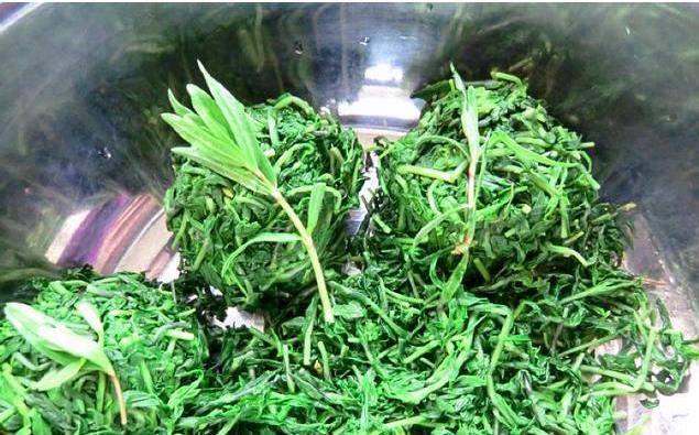 乳山采摘野菜山蚂蚱,泌阳有山蚂蚱这种野菜吗