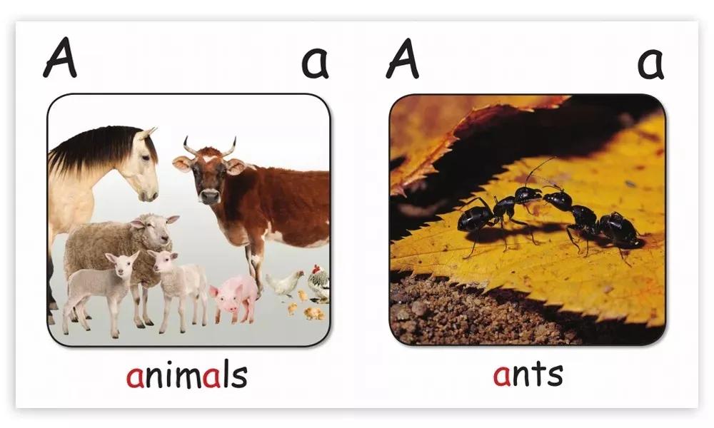 英语原版书阅读启蒙书目推荐,英文原版书对学英语有用吗