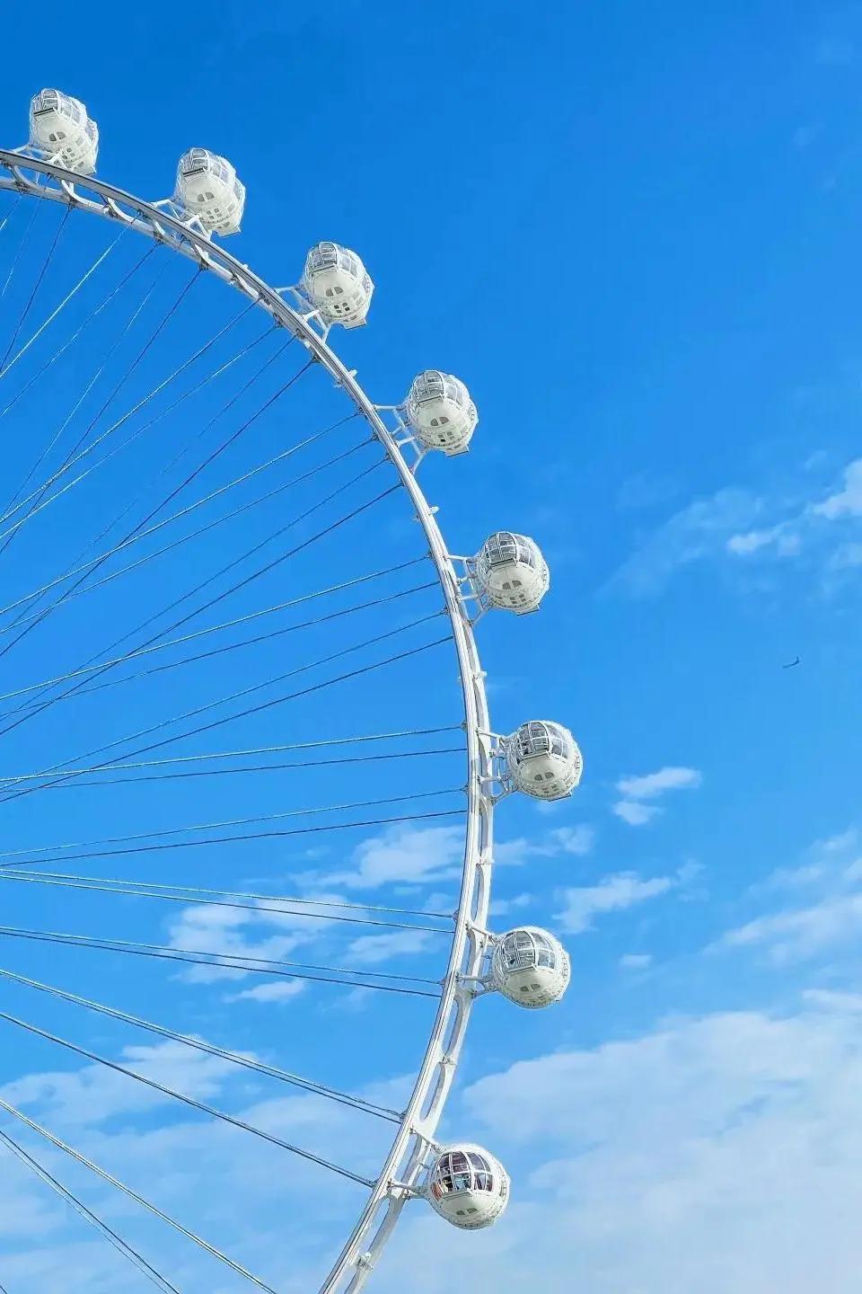 不离深也能“游”|公园超全攻略来了！千园之城，总有一款公园适合你