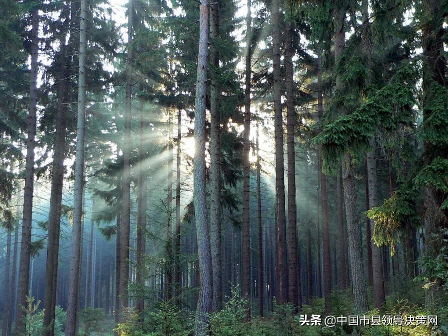 燕赵多豪杰的诗句,燕赵多义士诗词