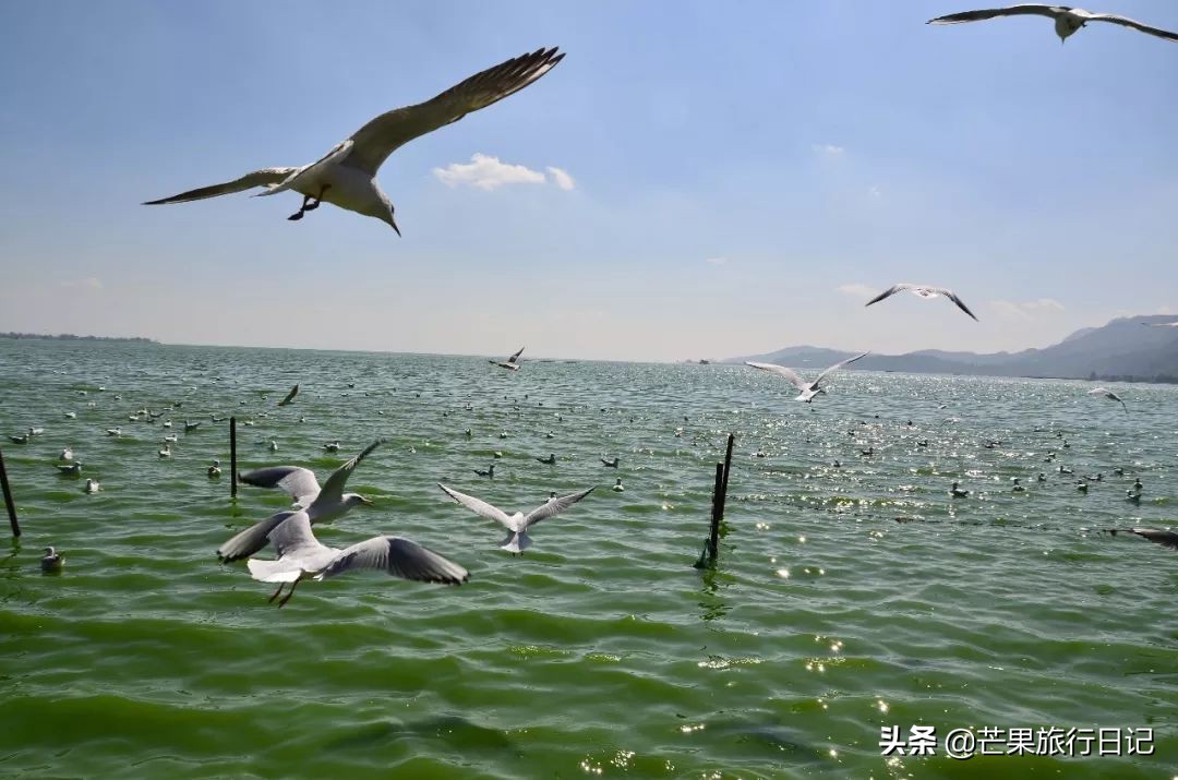女孩子一个人去云南旅游三月份,一个女生去广州旅游