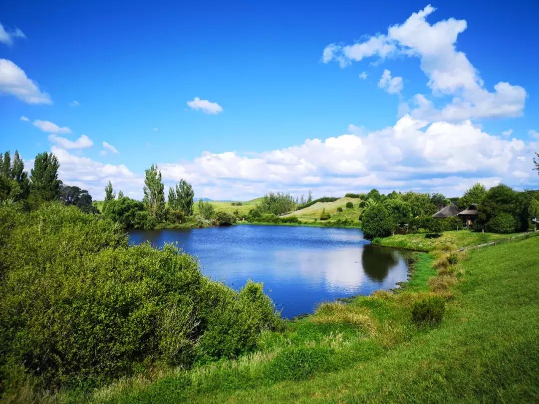 比国内油价还高三四块！这地方奔驰不如日系车受欢迎！