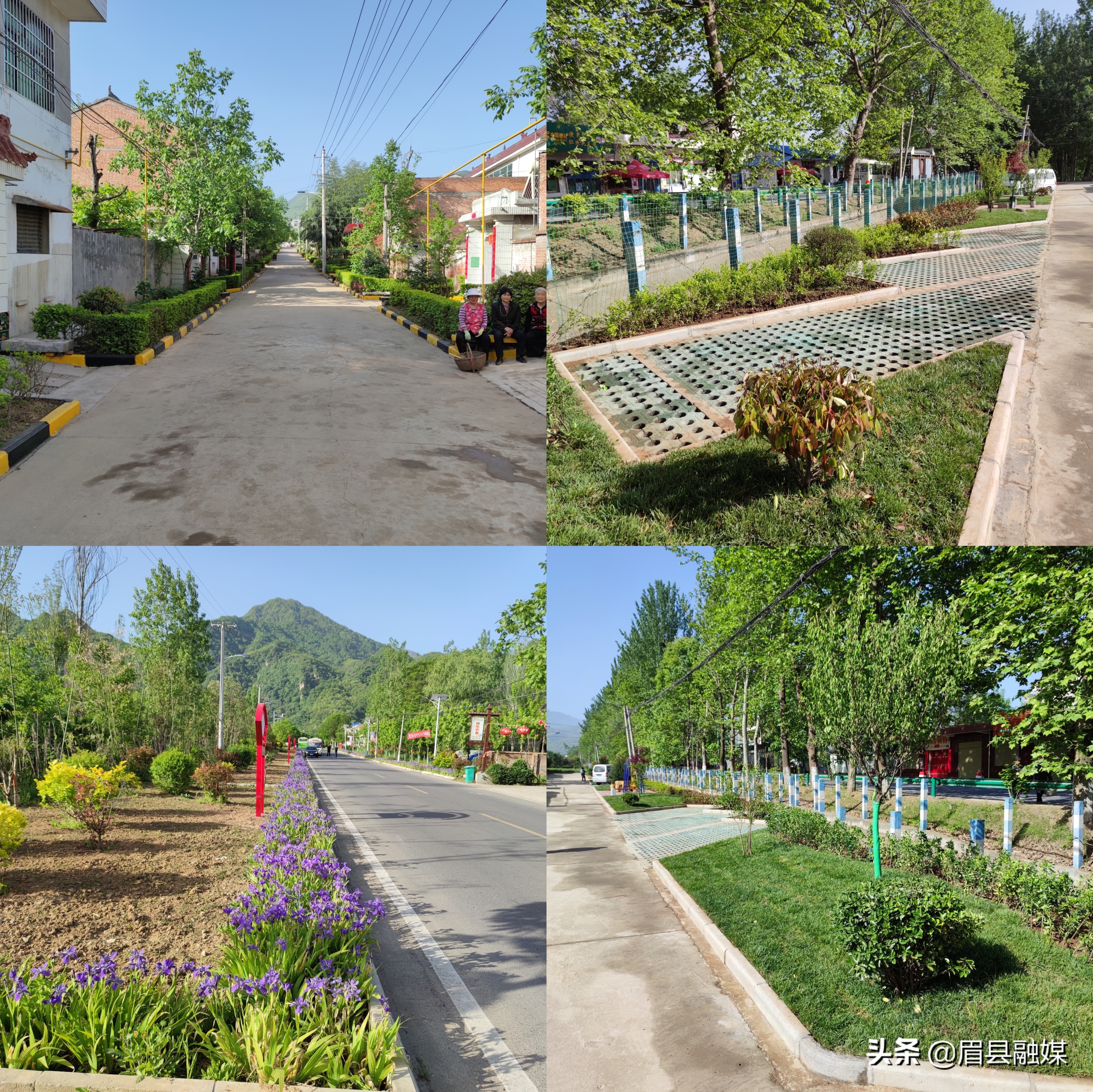 镇领导带队开展人居环境整治工作,老城镇开展人居环境整治