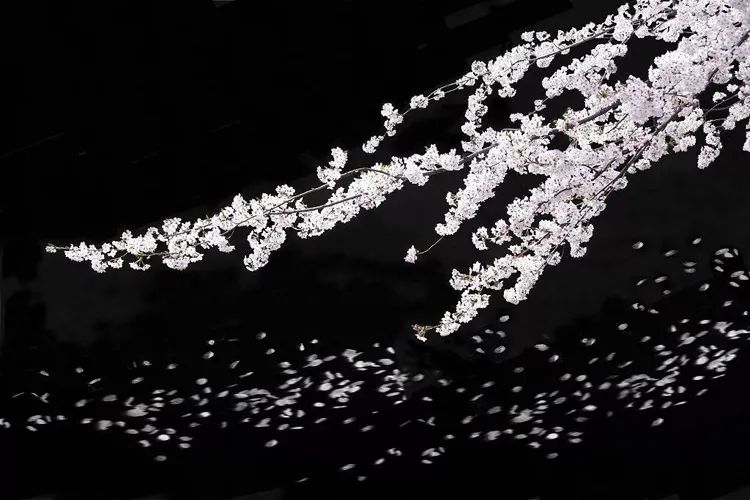 怎么拍出背景是黑色的人物照片,苹果手机如何拍出黑色背景照片