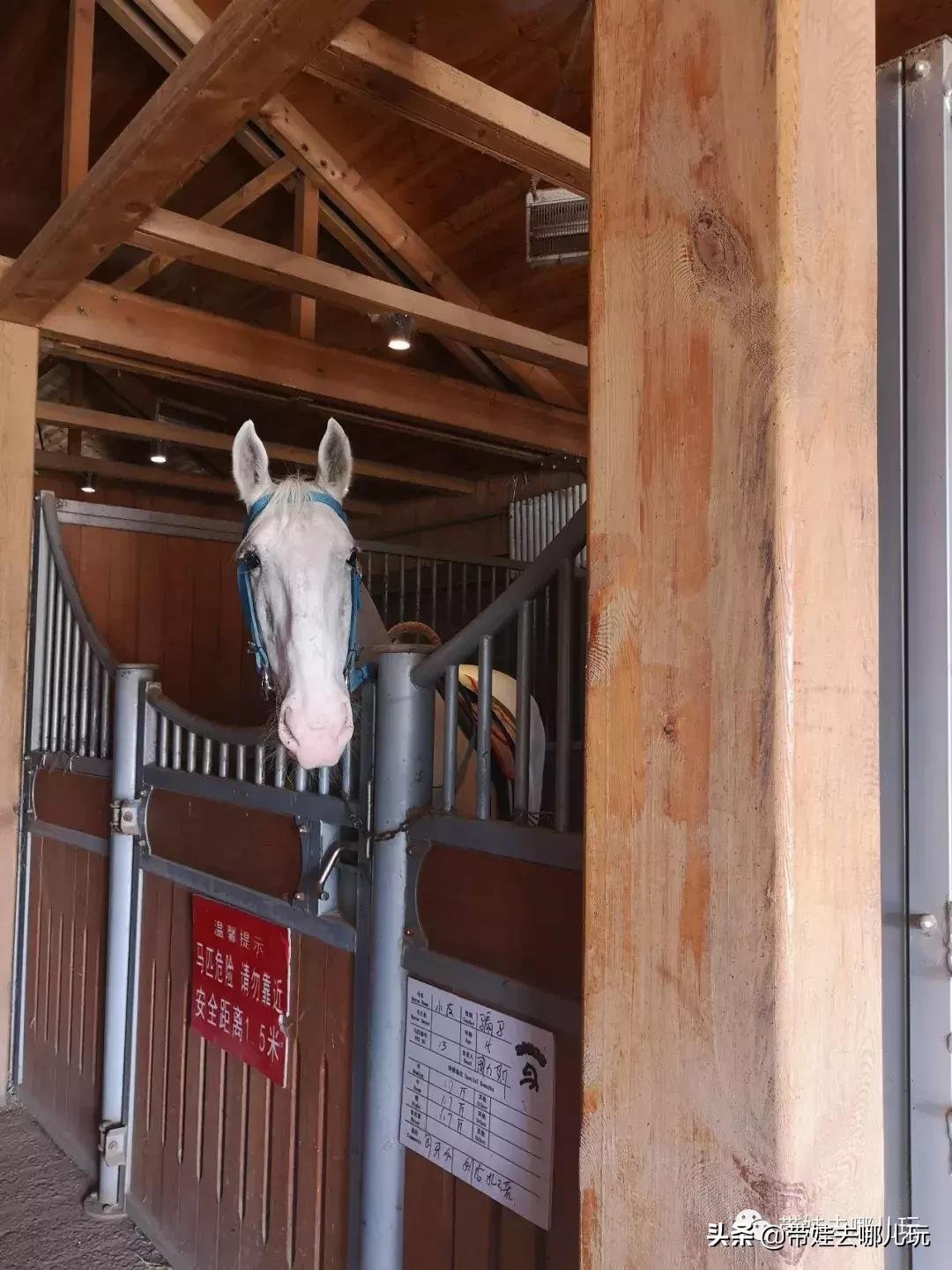 北京最有度假感的酒店，就在金海湖