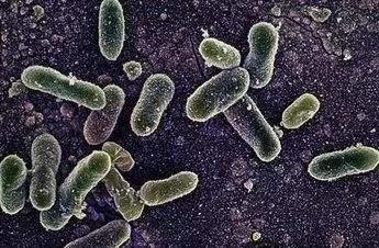 摩飞刀具砧板消毒机怎么拆开 (多功能砧板消毒测评)