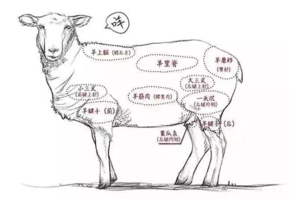 老北京涮羊肉火锅怎么正确吃,老北京涮羊肉vs潮汕牛肉火锅