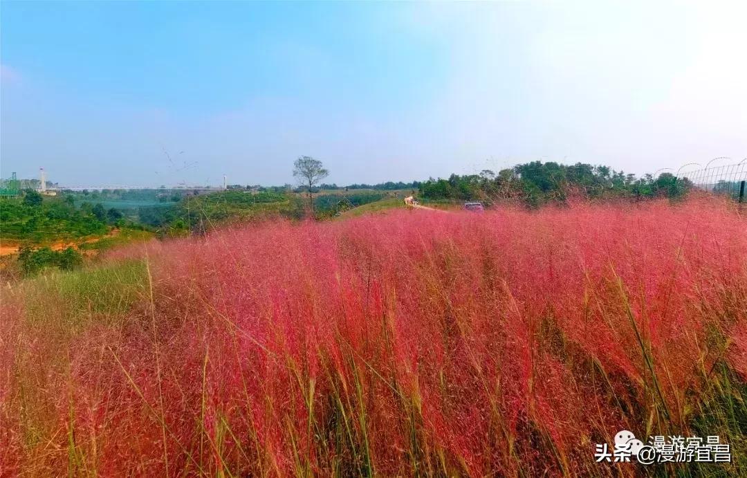 宜昌恩施旅游攻略最佳路线,宜昌至重庆三峡游轮旅游攻略