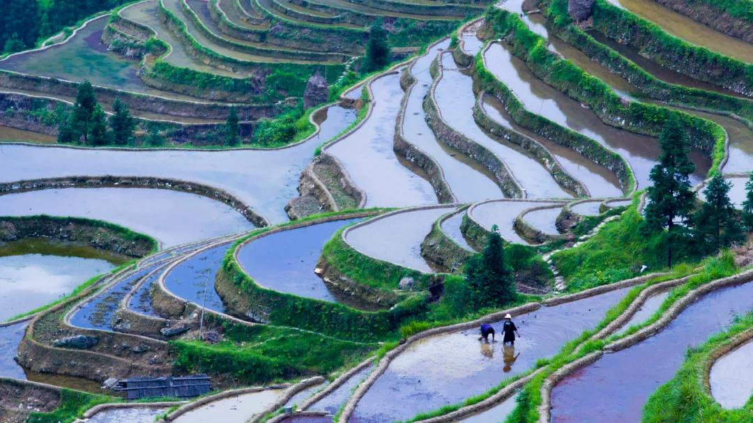 贵州这些景区有5折优惠免票活动,贵州省景区免票政策