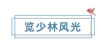 问禅朝圣之旅|丝路企业家走进嵩山少林寺