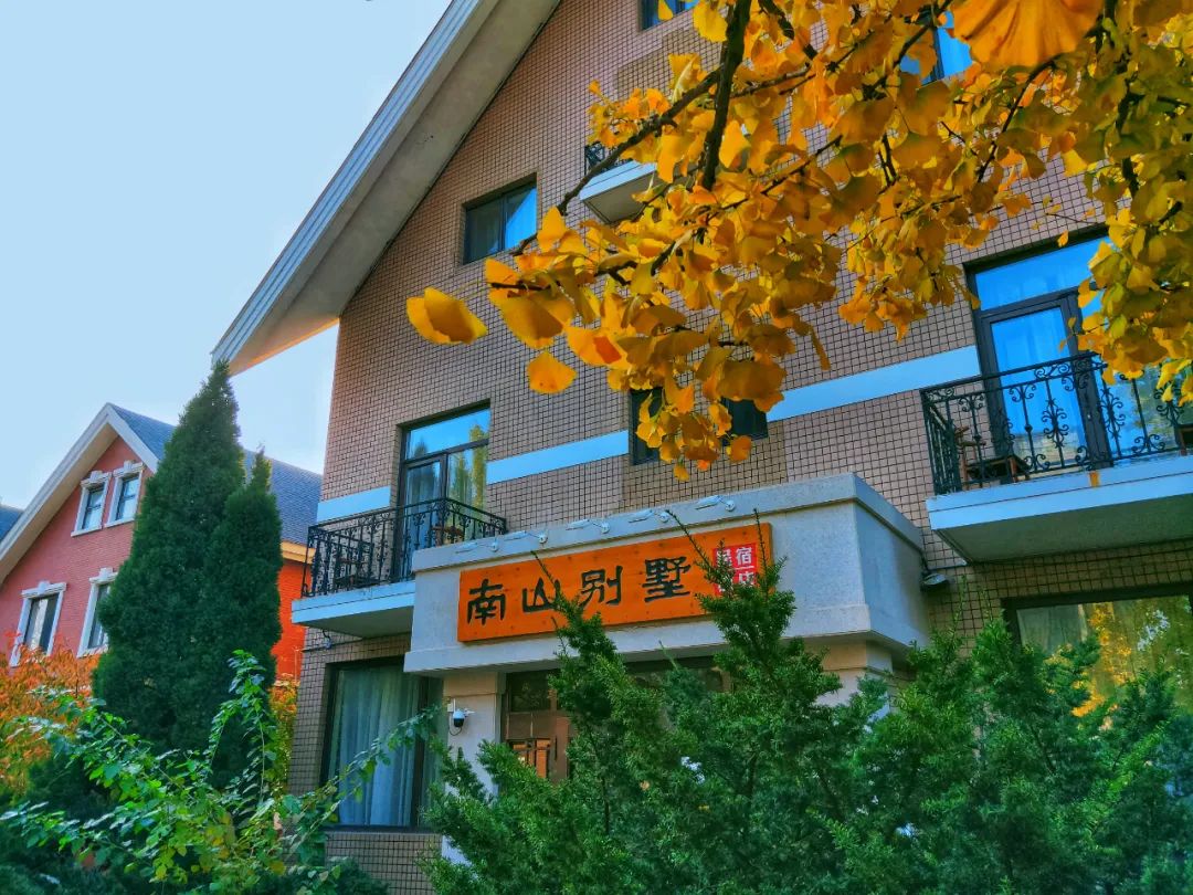 2022春节大连本命年免费景点,大连免费景点排行榜前十名