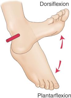 小白跑步容易伤哪个部位,初跑者小腿酸痛怎么办