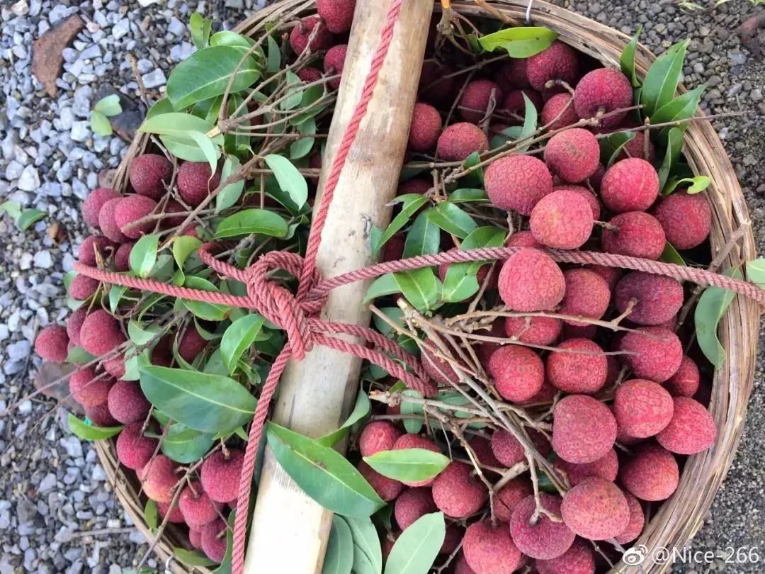 看完，会让你爱上桂平、感到自豪……