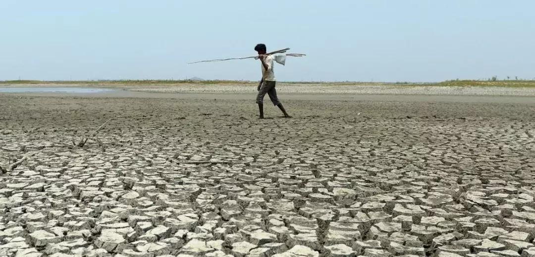 地球5年后的大灾难,地球病了会好起来吗