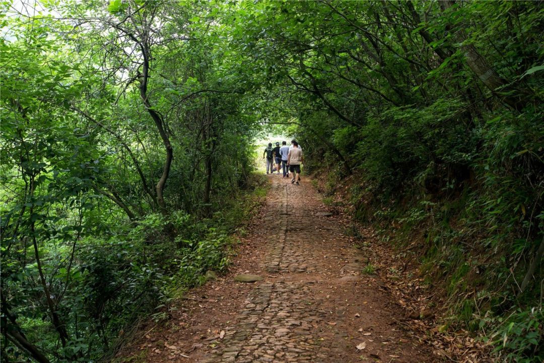 东钱湖徒步路线哪条最美,东钱湖附近有哪些免费古道