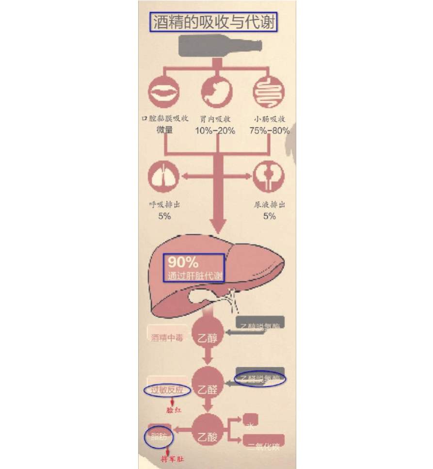 娲己寰嬪笀浜嬩欢,娲己寰嬪笀