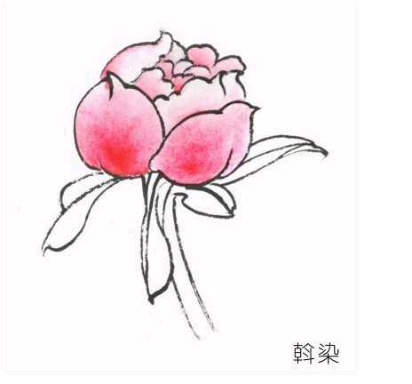 工笔画染染的正确方法,工笔画的分染步骤与技巧知识