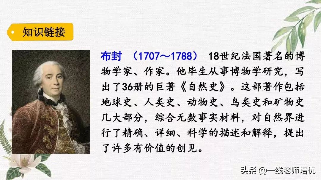 语文五年级上册第17课松鼠资料,部编版五年级上册第17课松鼠课件