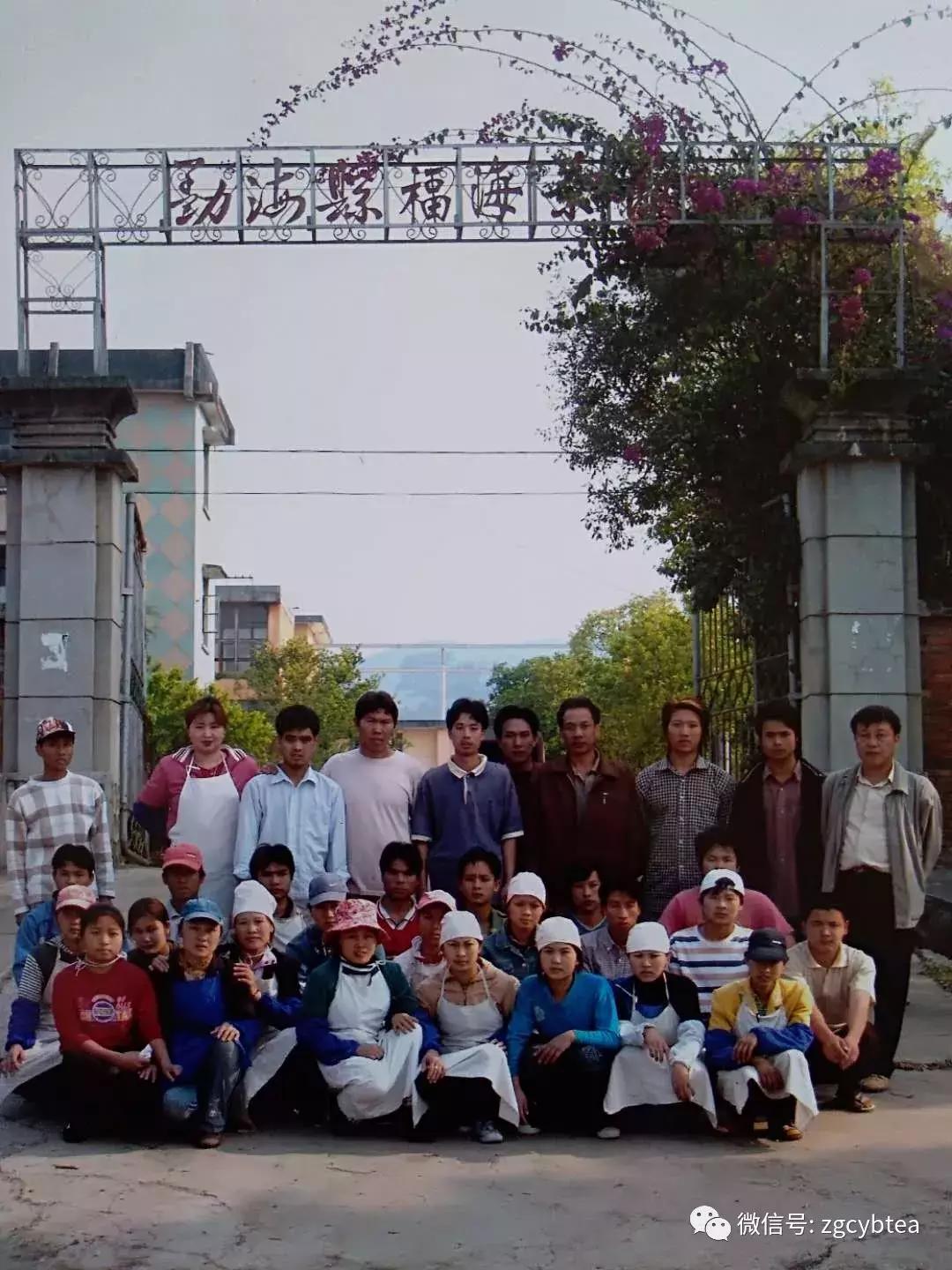 福海茶厂哪款熟茶最好喝,福海茶厂经典标杆茶