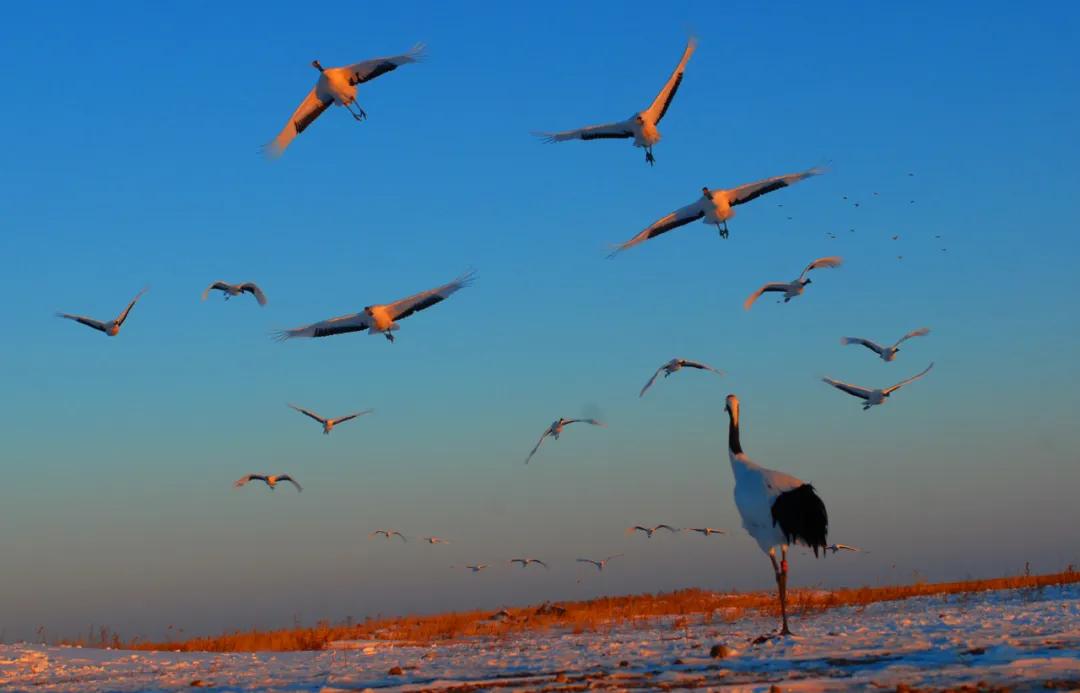 香港第14届全国摄影艺术展,第29届全国摄影艺术展览获奖名单