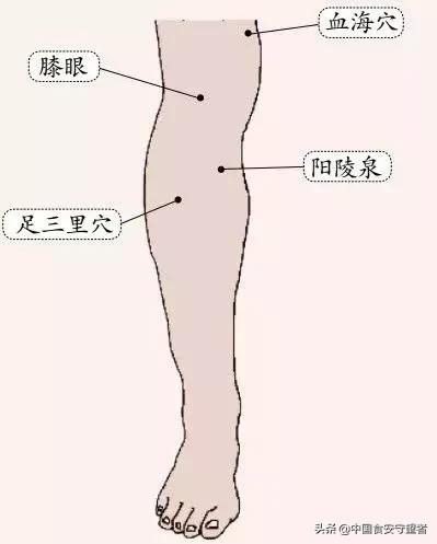 身体5个部位最怕湿气,身体各器官最怕的东西列表