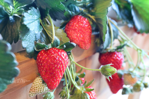 东京周边游的旅游景点,东京复仇者周边