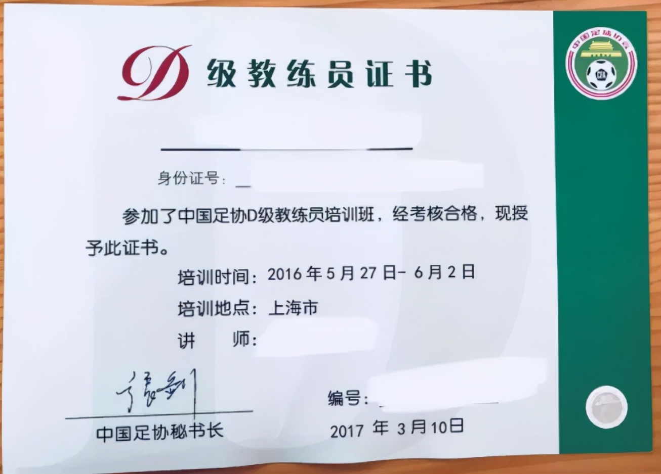 世界杯足球教练是什么级别,足球科普