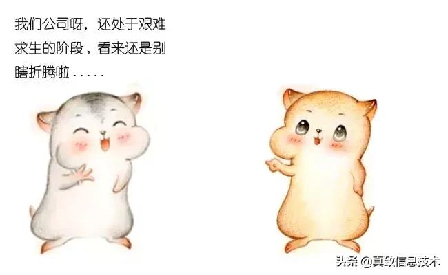 什么是中台元仓,什么是中台测试