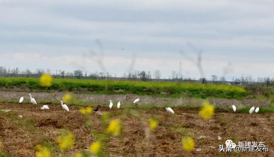 3.30新闻汇总,3月3日新闻简介