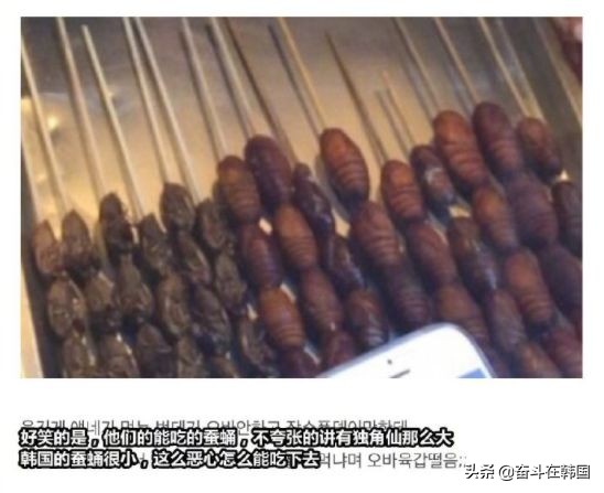 韩国人边吐槽边来中国玩,韩国人来评论中国旅游