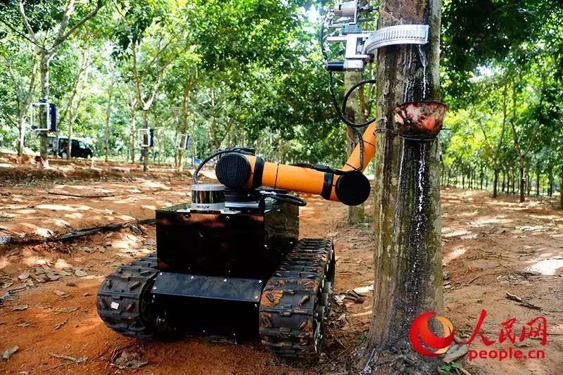 中国海南自由行,海南省自由行