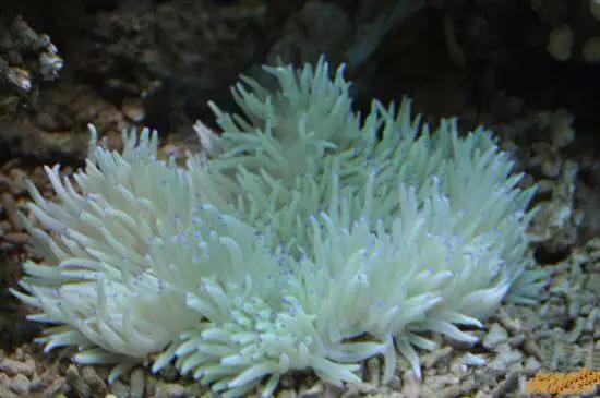 开海特价海鲜,开海的海鲜视频