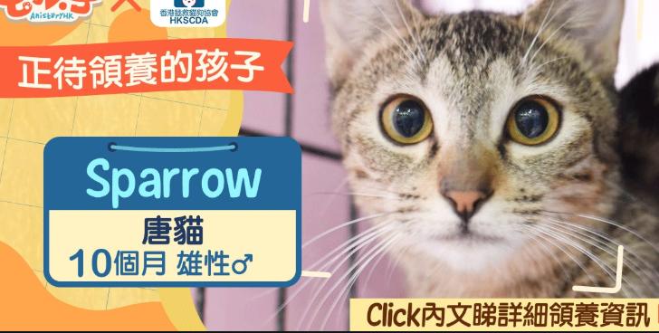 日本人都不曾在意的细节，11处日本的特有现象