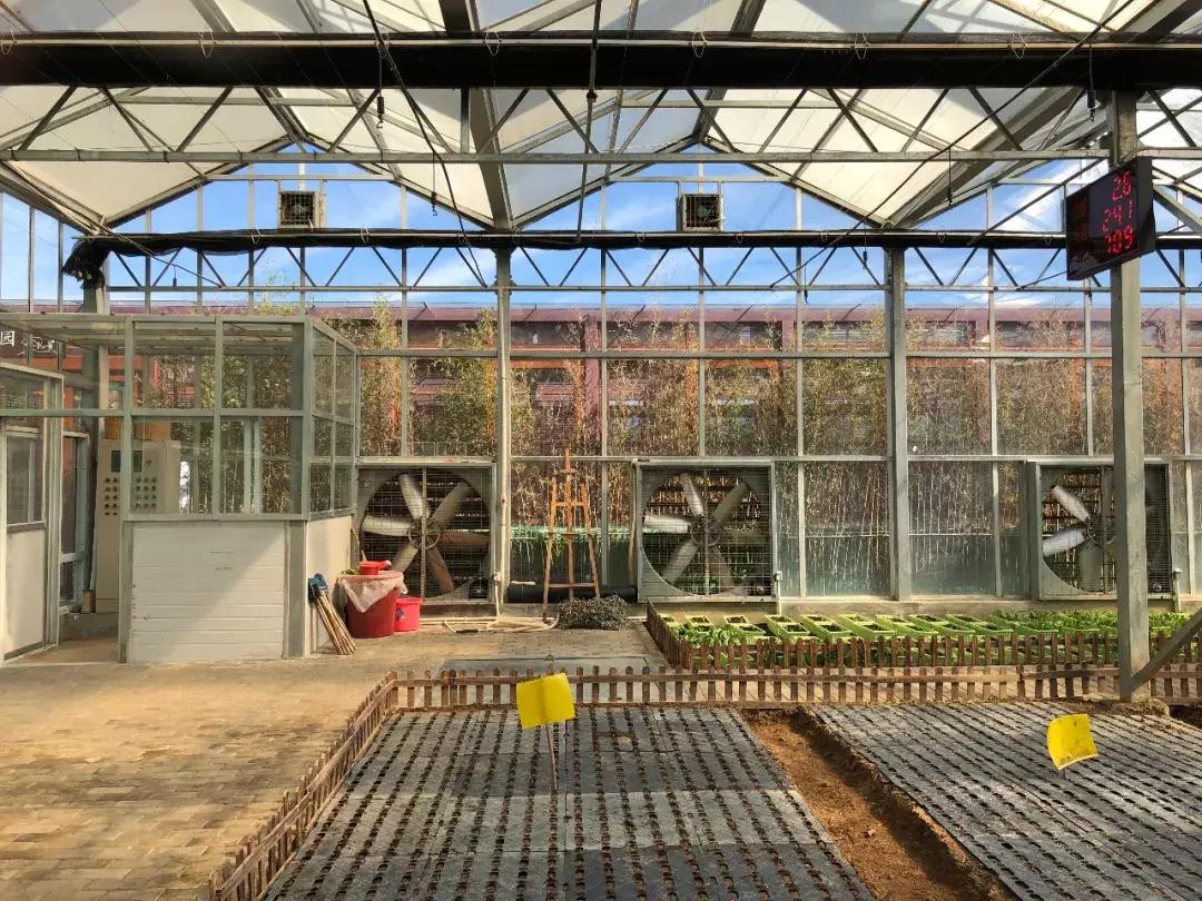 三亚轻奢度假酒店,三亚十大最豪华的度假别墅