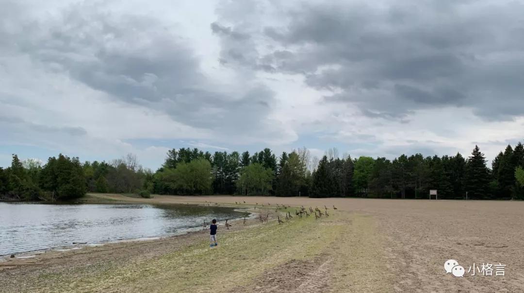 游客也可以免费医疗的国家,国外疫情游客免费治疗吗