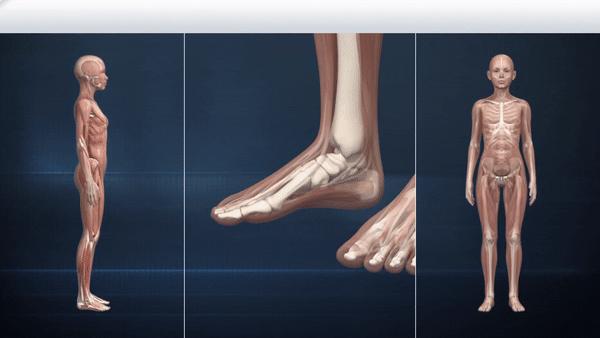 合脚的鞋子才是适合自己的,合脚的鞋才是最好的鞋