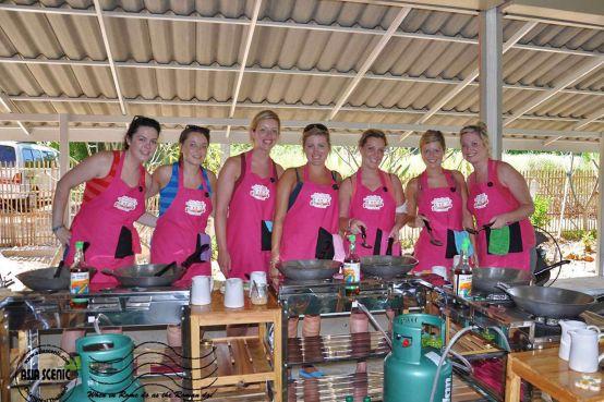 清迈大象义工,清迈大象救助营